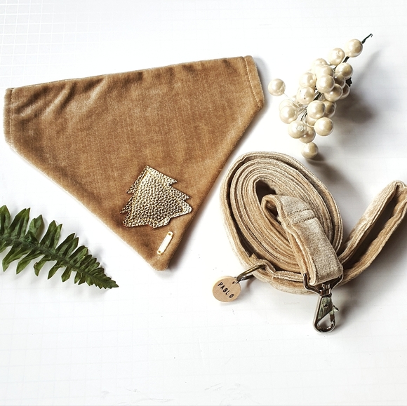 Pablo Other - Pablo Gold Label Christmas Tan Velvet Dog Bandana & Leash Set